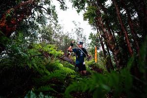 BIB: 
                            <button type="button" onclick="openModal(26204595)" class="btn btn-primary btn-sm float-right btn-popup" data-toggle="modal" data-target=".modal-high-quality">
                        <i class="fas fa-shopping-cart"></i> Add to Cart
                    </button>
                                            <button type="button" onclick="isThisMe(26204595, true)" class="btn btn-success btn-sm float-right btn-popup btn-isme hidden" data-toggle="tooltip" data-placement="bottom" title="นี่คือรูปของคุณใช่ไหม คลิกที่นี่เพื่อเอาเข้าอัลบั้ม">
                        <i class="fas fa-plus"></i> Add to album
                    </button>
                    <button type="button" onclick="isThisMe(26204595, false)" class="btn btn-warning btn-sm float-right btn-popup btn-isnotme hidden">
                        <i class="fas fa-ban"></i> Remove from album
                    </button>